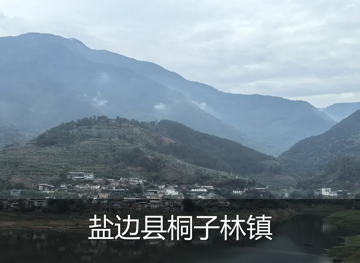 盐边县桐子林镇