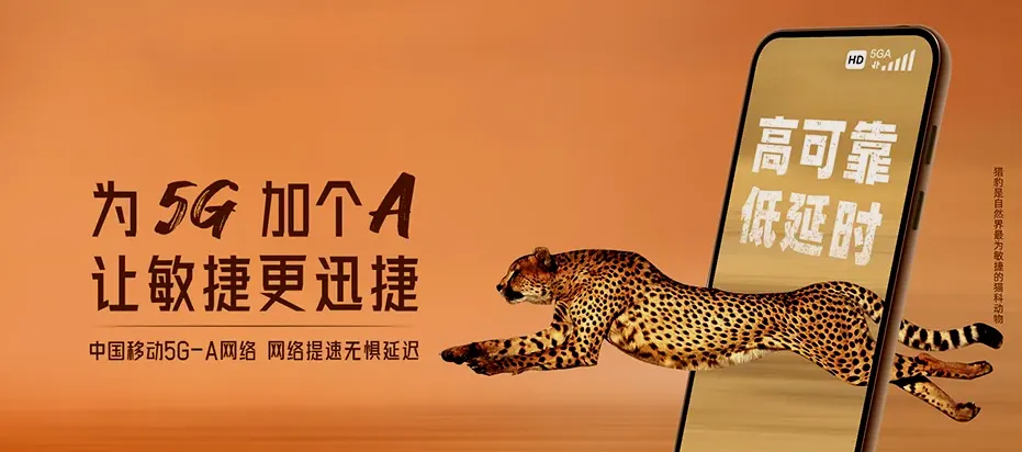 盐边县盐边县格萨拉彝族乡 移动宽带